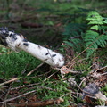 DSC08586